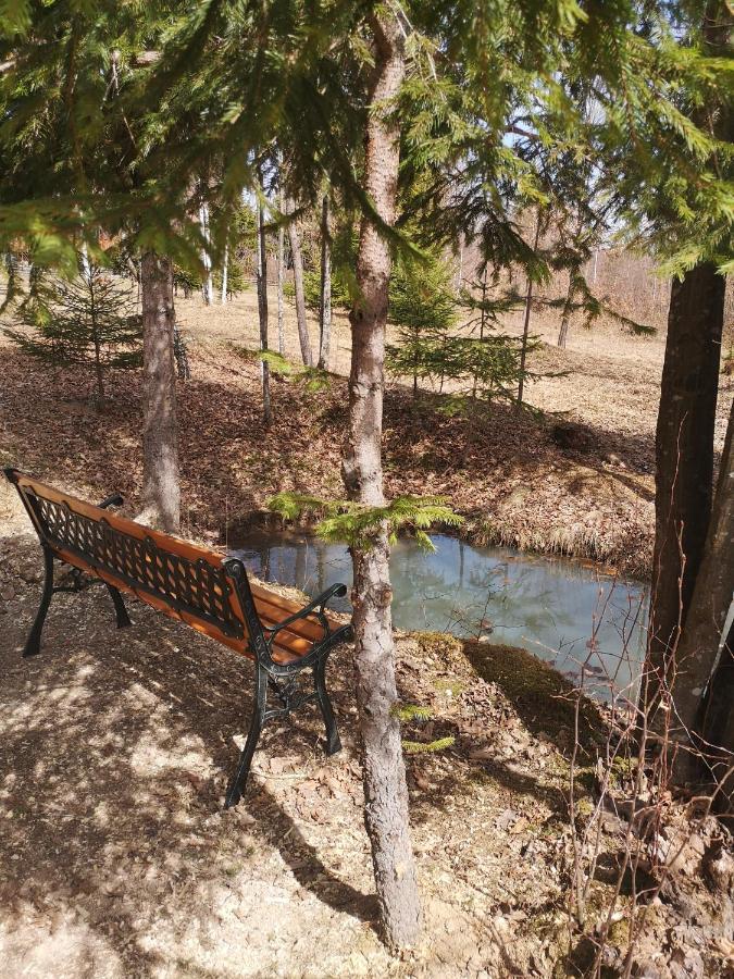 Hotel Medve Dome - Luxury Camping In The Middle Of Nature Vlahita Exterior foto