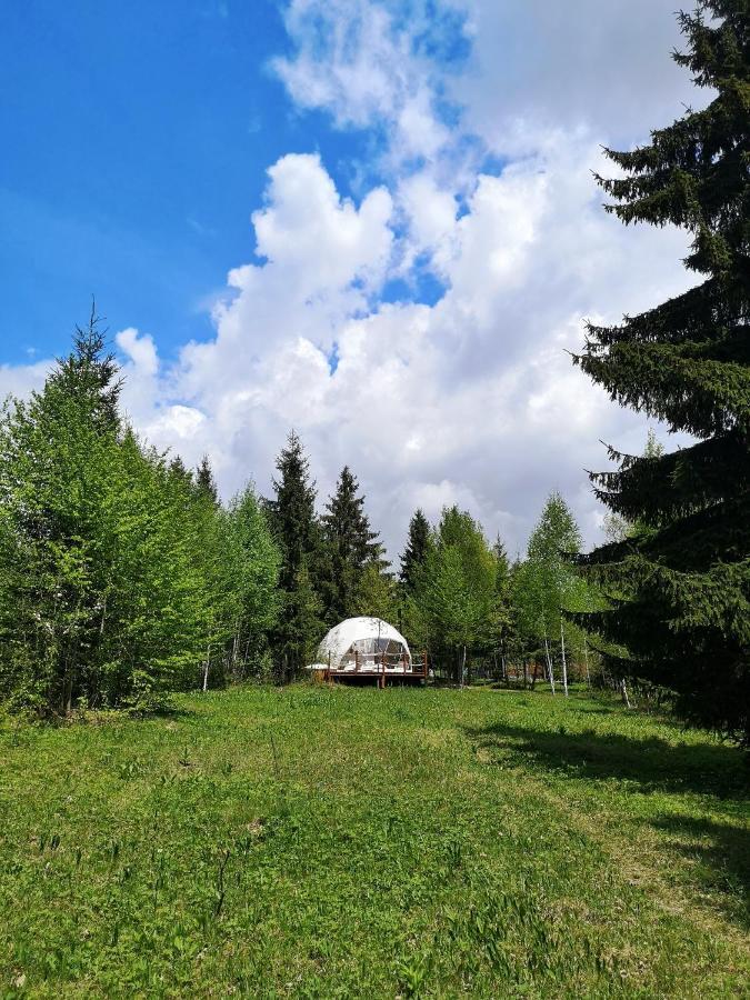 Hotel Medve Dome - Luxury Camping In The Middle Of Nature Vlahita Exterior foto
